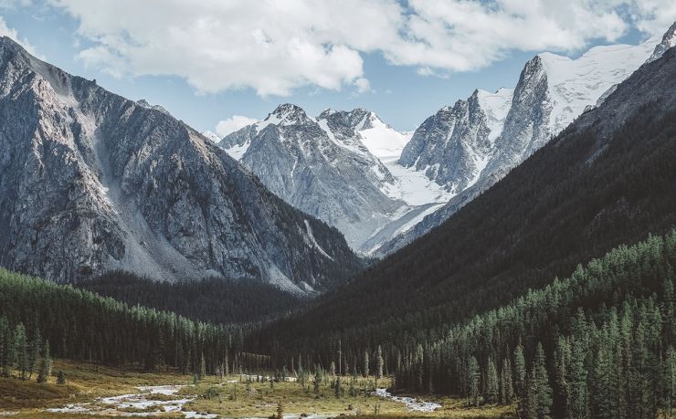 哪个移民中介可靠一些